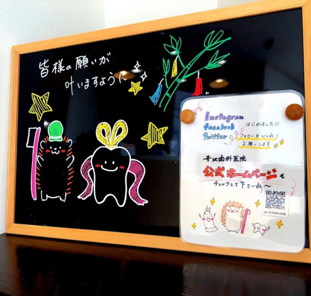 肉食動物 草食動物でも違う 歯の機能や形態についてのお話 江南市で歯医者をお探しなら寺沢歯科医院へ 1987年 開院の信頼と実績